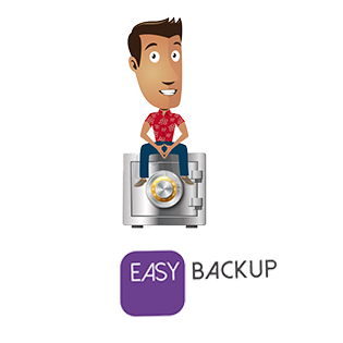 EasyBackup 500Go (forfait mensuel)